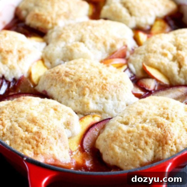 Rustic Peach Plum Cobbler 8 Peach Plum Cobbler