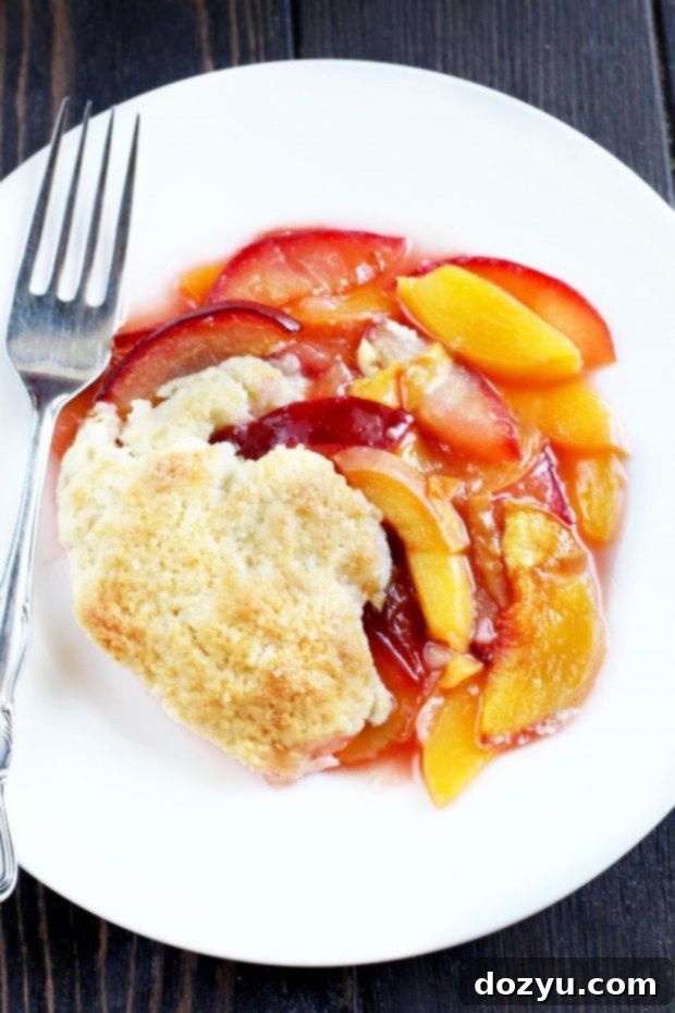 Close-up of baked Peach Plum Cobbler with golden biscuits