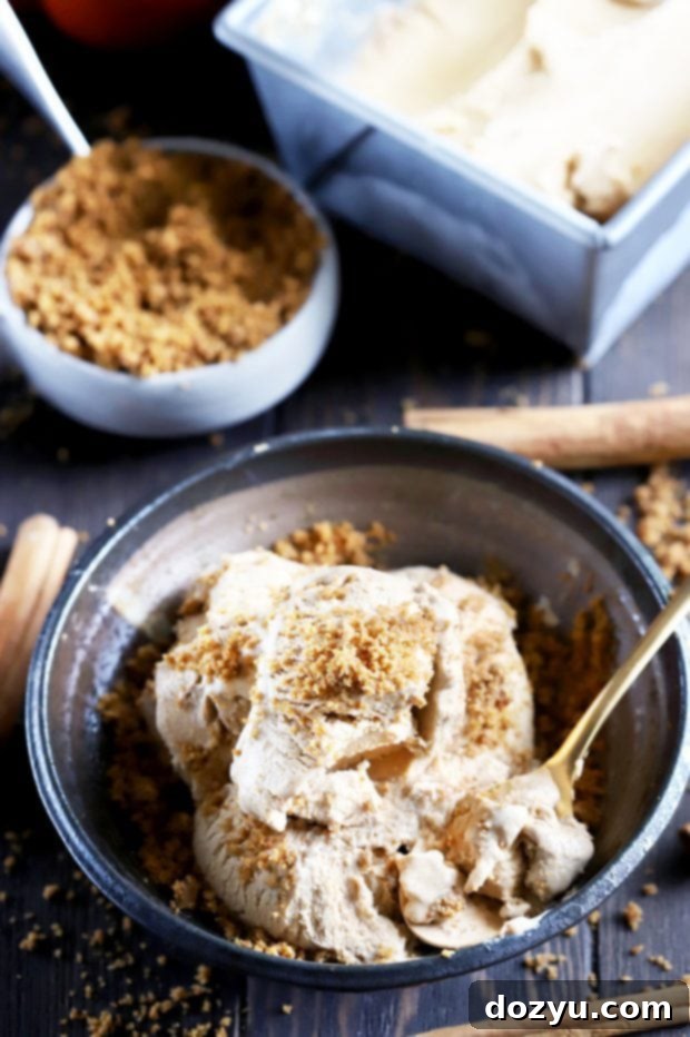 Gingersnap Crumble Pumpkin Spice Latte Ice Cream 9 Pumpkin Spice Latte Ice Cream with Gingersnap Crumble on a kitchen surface