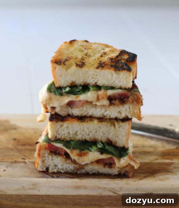 Warm Caprese Melt 2 A close-up of a Grilled Caprese Sandwich