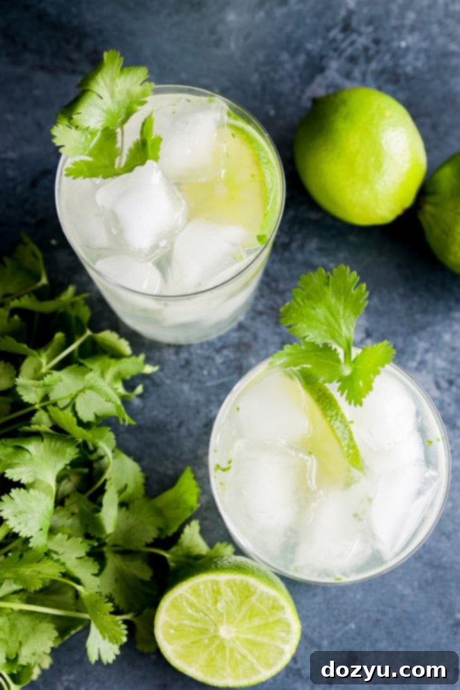 Cilantro Lime Gin and Tonic 2 Cilantro Lime Gin and Tonic cocktail with fresh limes and cilantro sprigs