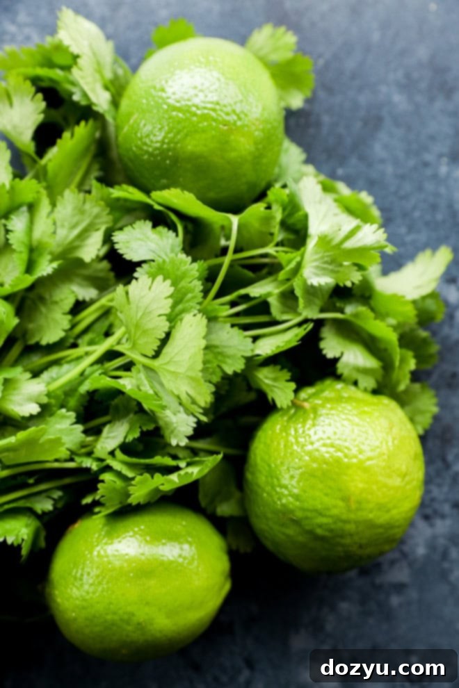 Cilantro Lime Gin and Tonic 3 Fresh limes and a vibrant bunch of fresh cilantro leaves, essential ingredients for the gin and tonic