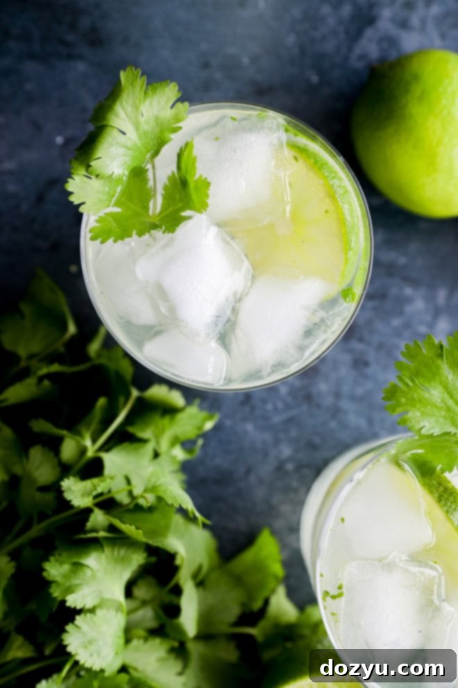 Cilantro Lime Gin and Tonic 4 Easy botanical cocktail with fresh herbs and limes, prepared in a cocktail shaker with a muddler