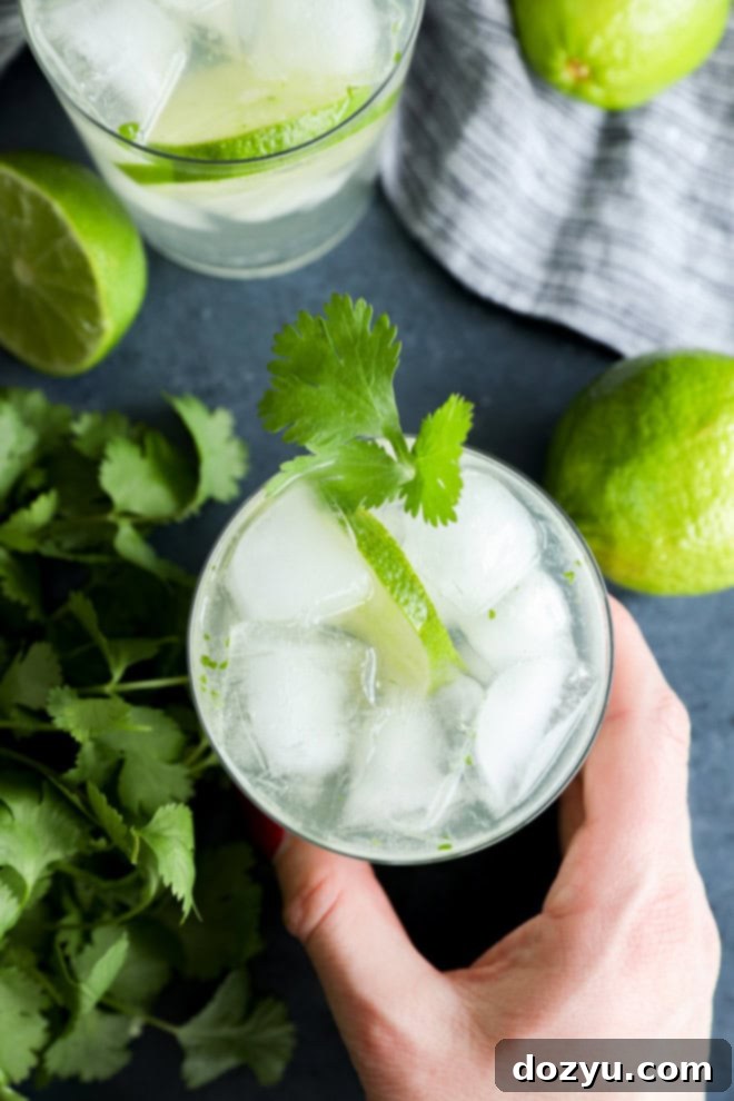 Cilantro Lime Gin and Tonic 5 Hand holding a refreshing Cilantro Lime Gin and Tonic cocktail garnished with cilantro and lime