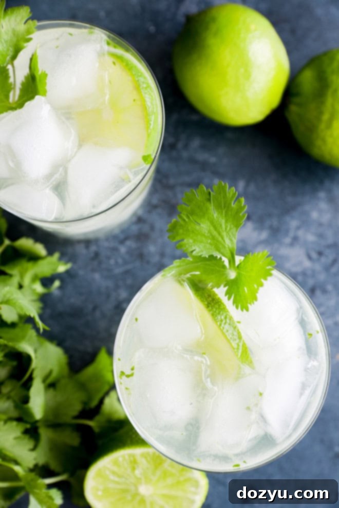 Cilantro Lime Gin and Tonic 6 Two glasses of Cilantro Gin Tonic, garnished with lime and cilantro, ready to be served