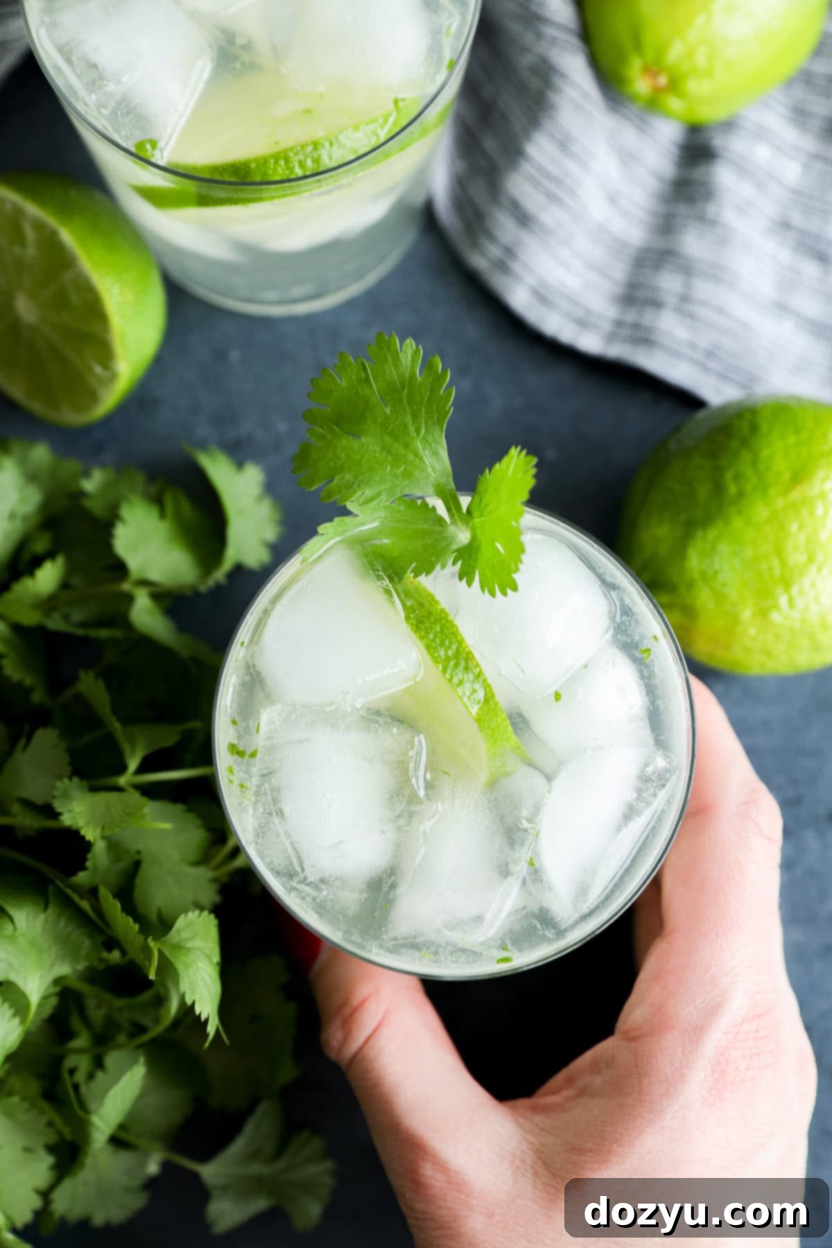 Cilantro Lime Gin and Tonic 7 Hand holding a refreshing Cilantro Lime Gin and Tonic cocktail garnished with cilantro and lime