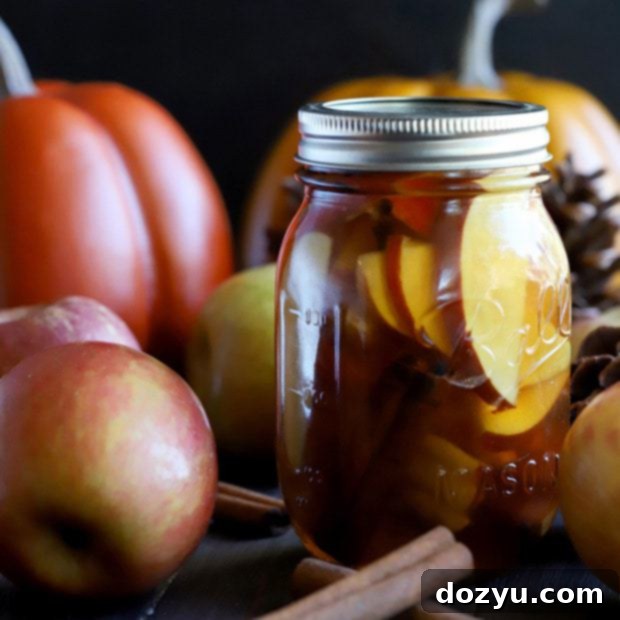 Apple Pie Infused Whiskey 11 Apple Pie Infused Whiskey Thumbnail