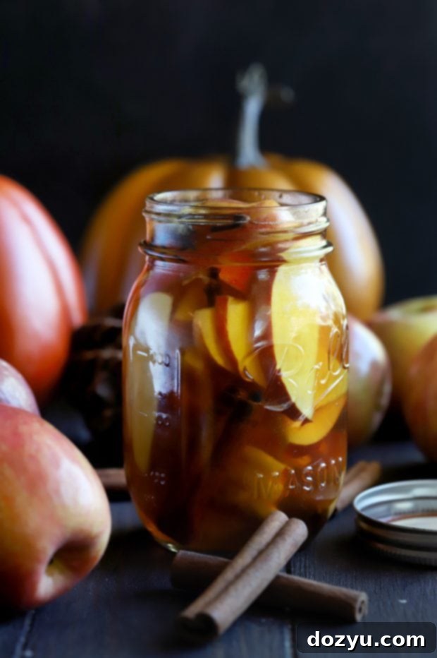 Apple Pie Infused Whiskey 7 Apple slices and spices soaking in whiskey in a mason jar