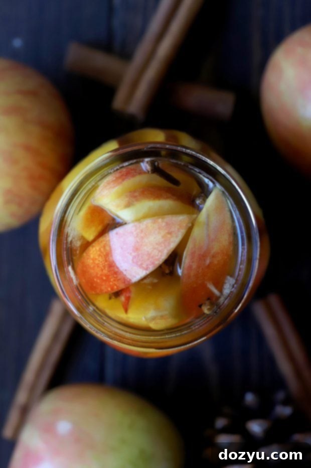 Apple Pie Infused Whiskey 9 Bottles of Apple Pie Infused Whiskey ready for gifting or storage