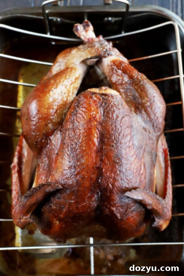 Perfectly Smoked Beer-Brined Turkey 5 img 32477 4