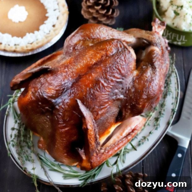 Perfectly Smoked Beer-Brined Turkey 9 Smoked Beer Brined Turkey