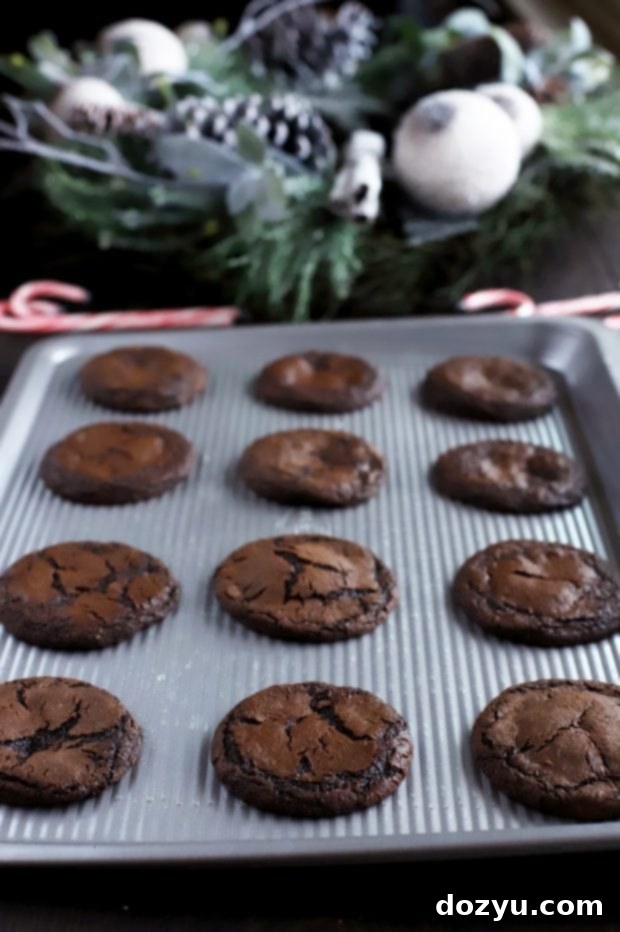 Cozy Peppermint Hot Cocoa Cookies 7 Freshly baked Peppermint Hot Chocolate Cookies on a cooling rack