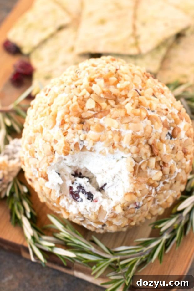Thanksgiving SOS Recipes 5 Cranberry Walnut Goat Cheese Ball - Last Minute Thanksgiving Recipes