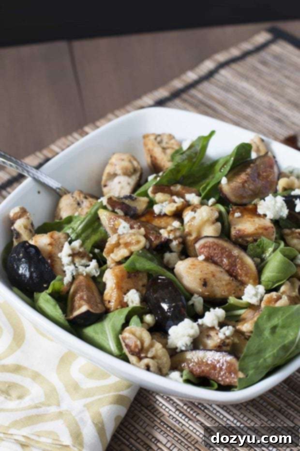 Summer Chicken Fig Salad 2 img 3271 4