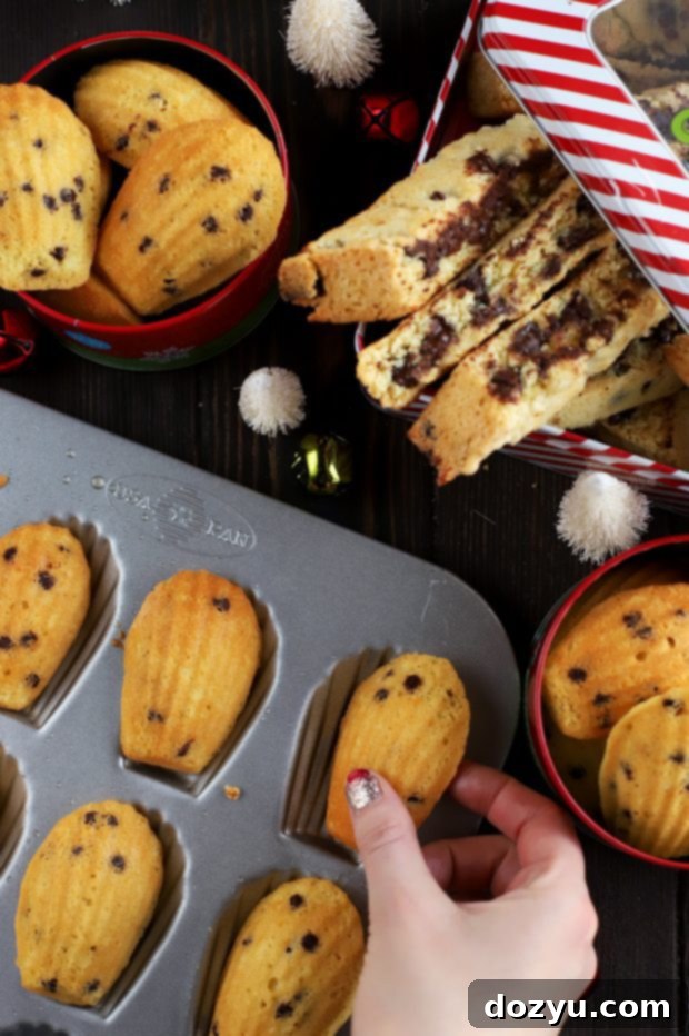 A festive spread of Madeleines and Biscotti with holiday decorations