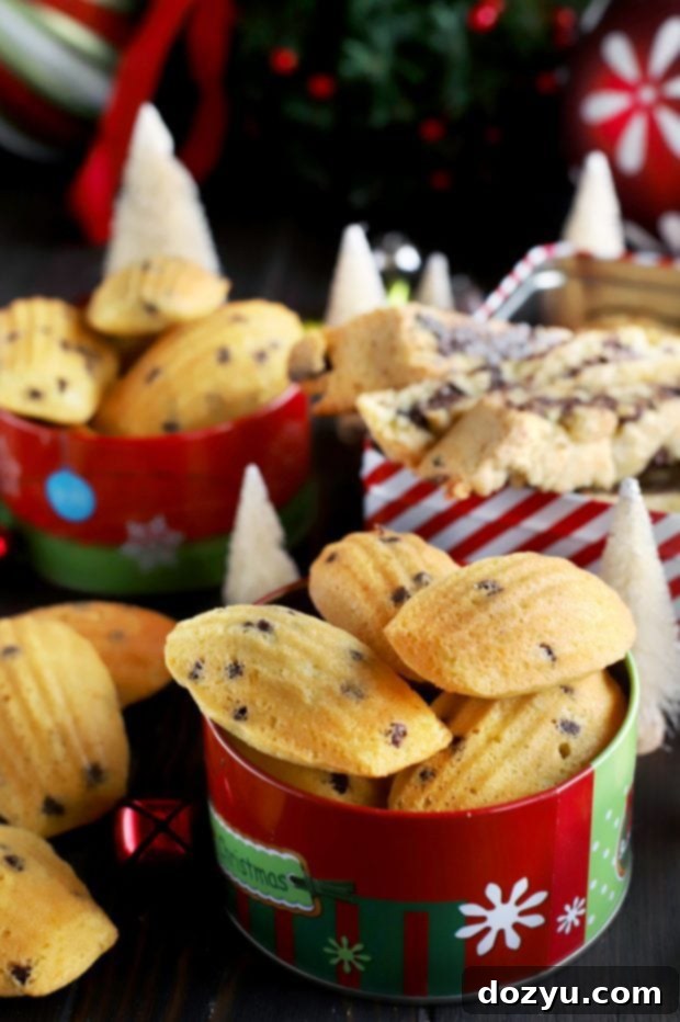 Delicious Madeleine and Biscotti cookies ready for sharing