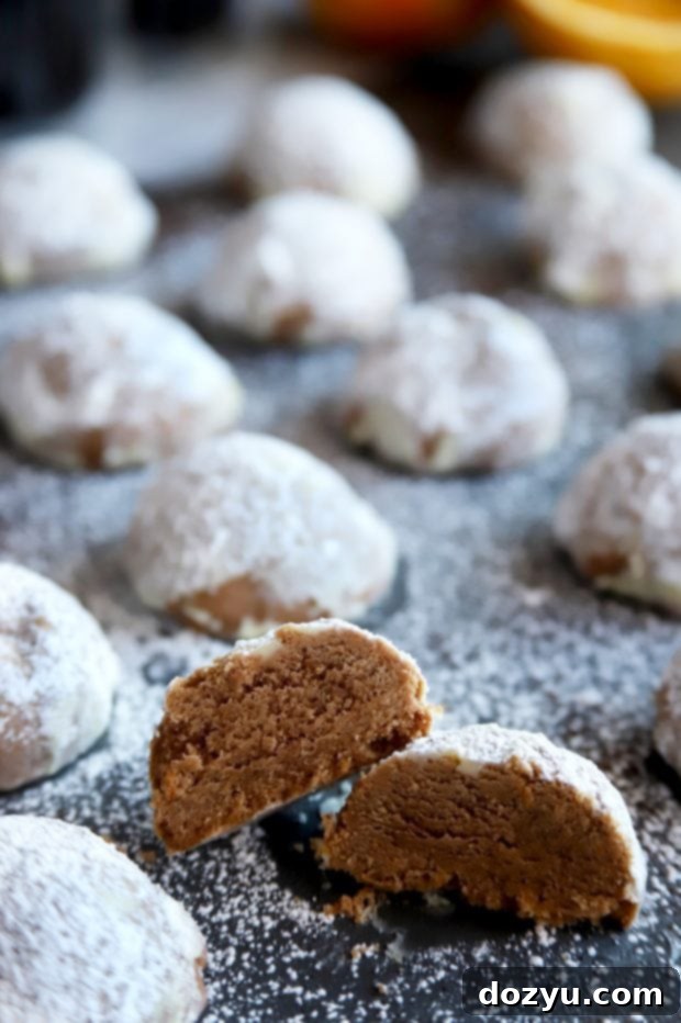 Orange Mocha Snowball Cookies 3 Close-up of a single Mocha Orange Mexican Wedding Cookie, perfectly round and coated in powdered sugar.