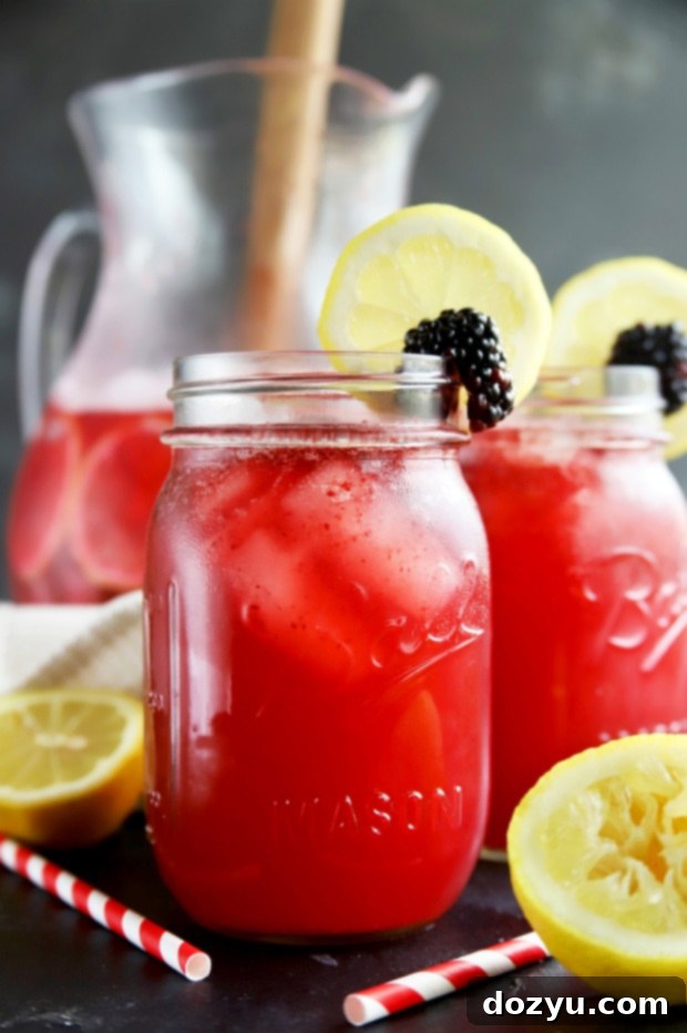 Zesty Blackberry Vodka Fizz 9 Sparkling blackberry vodka lemonade