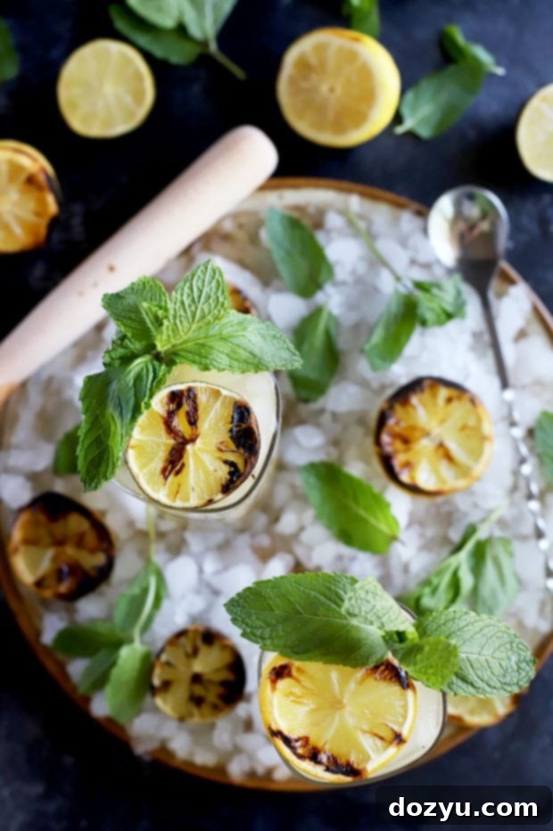 Fired Lemon-Lime Mojito 2 Grilled citrus mojito cocktail