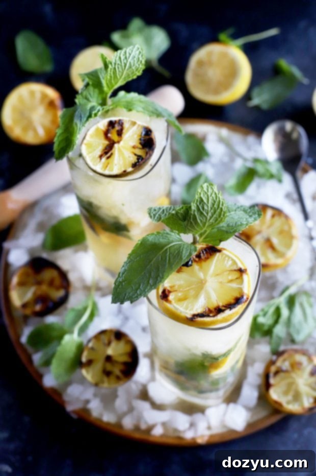 Fired Lemon-Lime Mojito 4 Lemon lime cocktails fresh off the grill for summer!