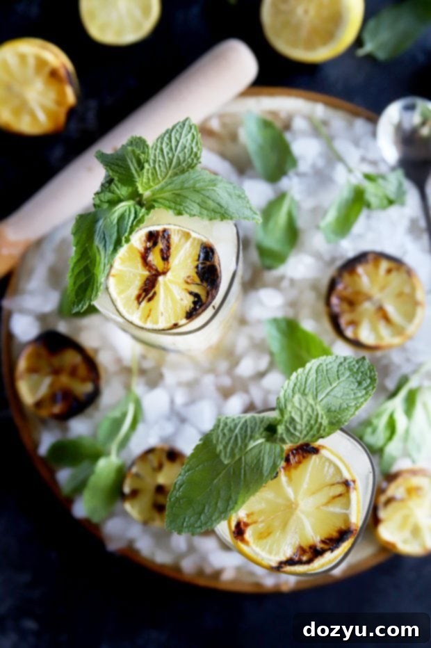 Fired Lemon-Lime Mojito 5 Cocktail hour for summer with citrus and mint