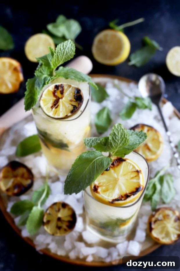 Fired Lemon-Lime Mojito 6 Citrus cocktail with mint and grilled