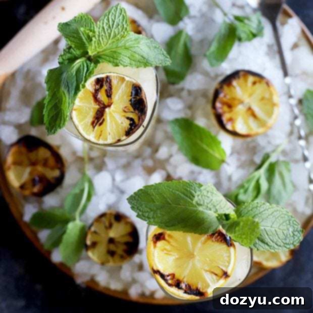 Fired Lemon-Lime Mojito 10 Grilled Lemon Lime Mojito Cocktail thumbnail