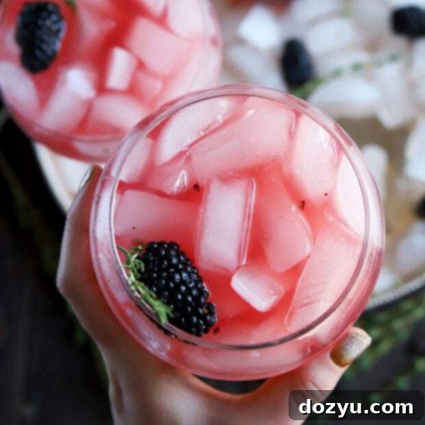 Thyme Scented Blackberry Gin And Tonic 12 Blackberry Thyme Gin and Tonic Cocktail thumbnail