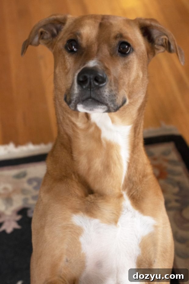 Farewell Kya 2 My perfect baby girl