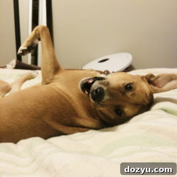 Farewell Kya 11 Kya being crazy on the bed