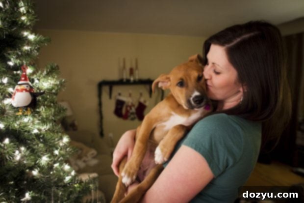 Farewell Kya 8 Kya and I for Christmas