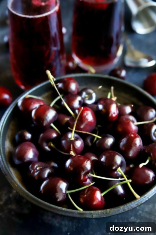 A bowl brimming with fresh, ripe red summer cherries, ready for garnish or snacking