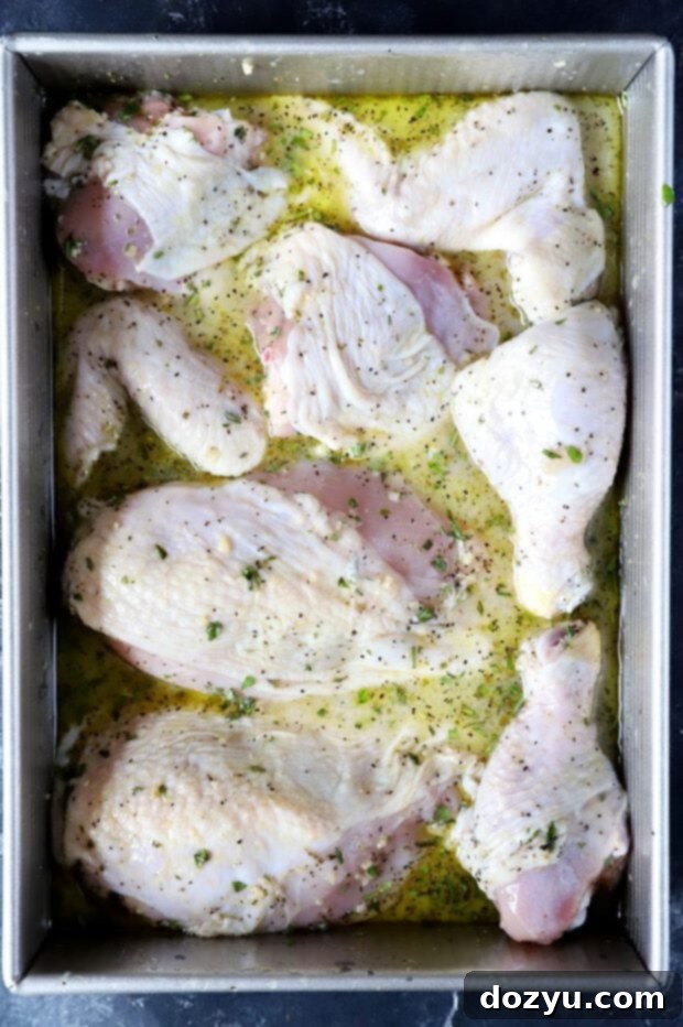 Aromatic White Wine and Herb Roasted Chicken 6 Raw chicken in a roasting pan
