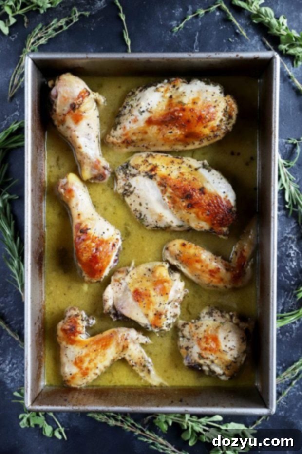 Aromatic White Wine and Herb Roasted Chicken 7 overhead shot of roasted chicken in pan