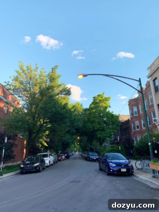 A Weekend Culinary Journey Through Chicago's West Loop 17 Streets of Chicago cars and trees