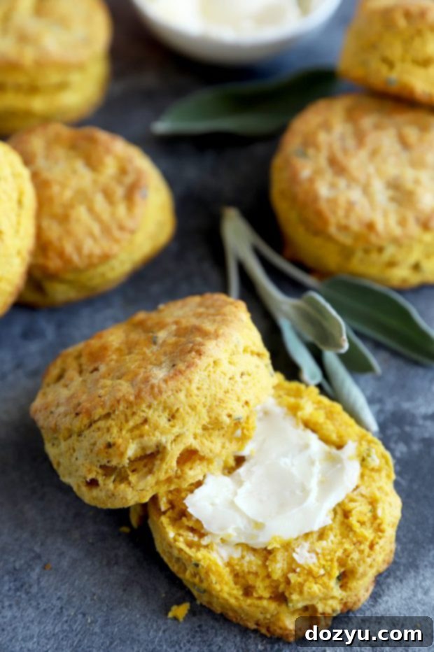 A golden brown pumpkin sage biscuit cut in half, revealing its tender, flaky layers and topped with a pat of melting butter, hinting at its deliciousness.