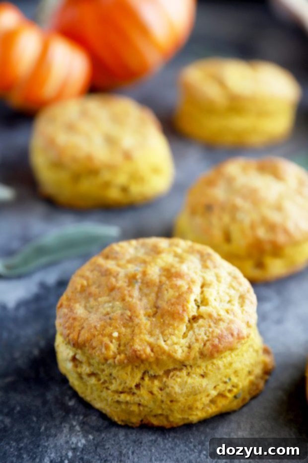 Close-up shot of pumpkin sage biscuits adorned with fresh sage leaves, emphasizing the rich fall colors and aromatic flavors.