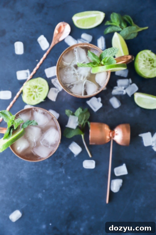 Kentucky Mule 5 Close-up image of a refreshing Bourbon Mule with ice and a lime garnish
