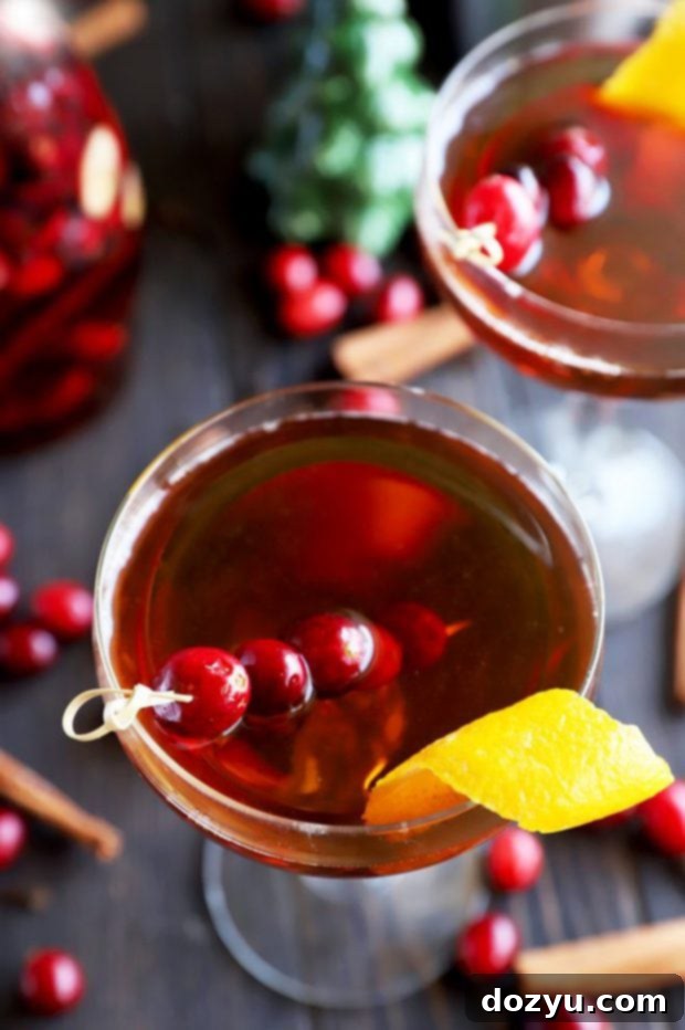 Fancy holiday cocktail photo - Cranberry Spice Manhattan with cranberries and cinnamon stick garnish