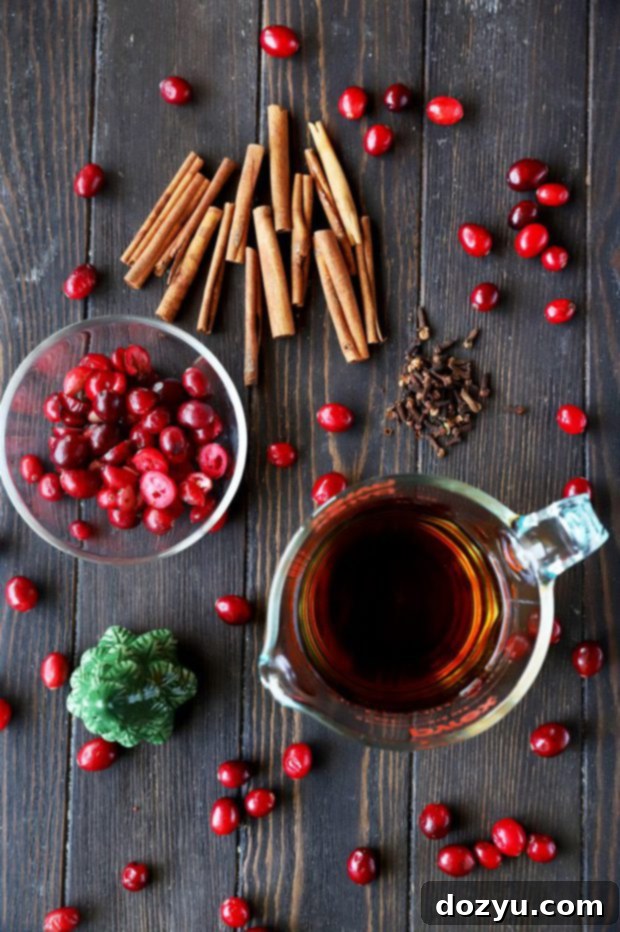 Ingredients for a Cranberry Spice Manhattan Cocktail photo, showing fresh cranberries, whiskey, cinnamon, and cloves