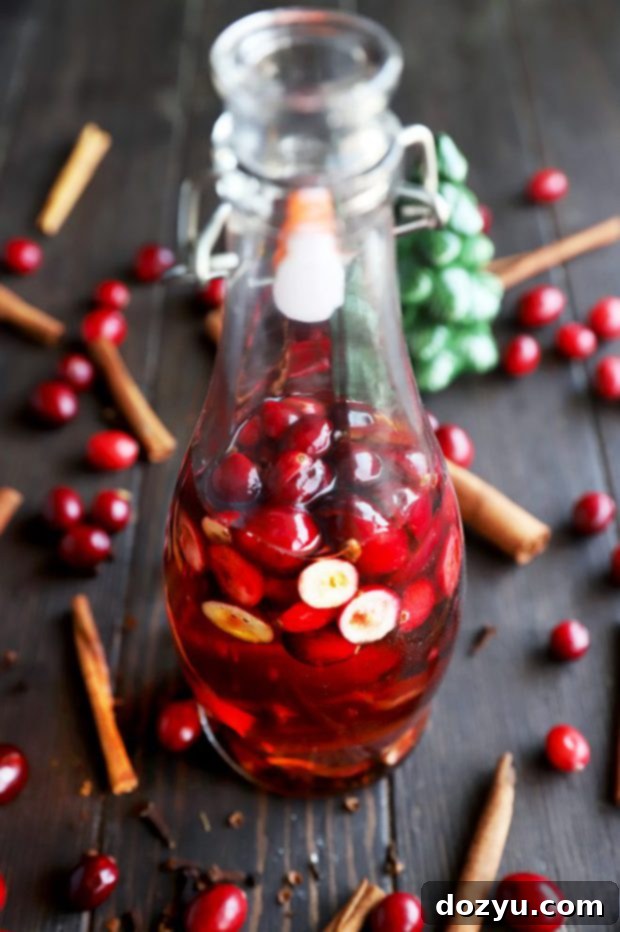 Whiskey in a bottle with cranberries and cinnamon, illustrating the infused spirit