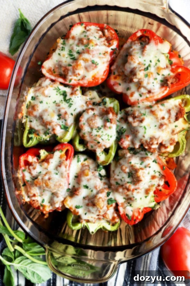 Bold Italian Stuffed Peppers 3 Overhead shot of two spicy Italian stuffed peppers in a baking dish with vibrant colors.