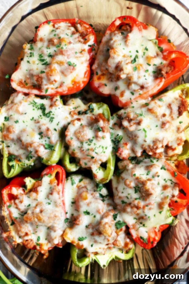 Bold Italian Stuffed Peppers 5 Spicy Italian stuffed peppers arranged neatly in a casserole dish before baking.