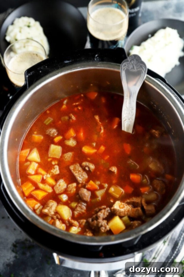 Easy Instant Pot Irish Beef Stew 6 Overhead photo of stew in pressure cooker