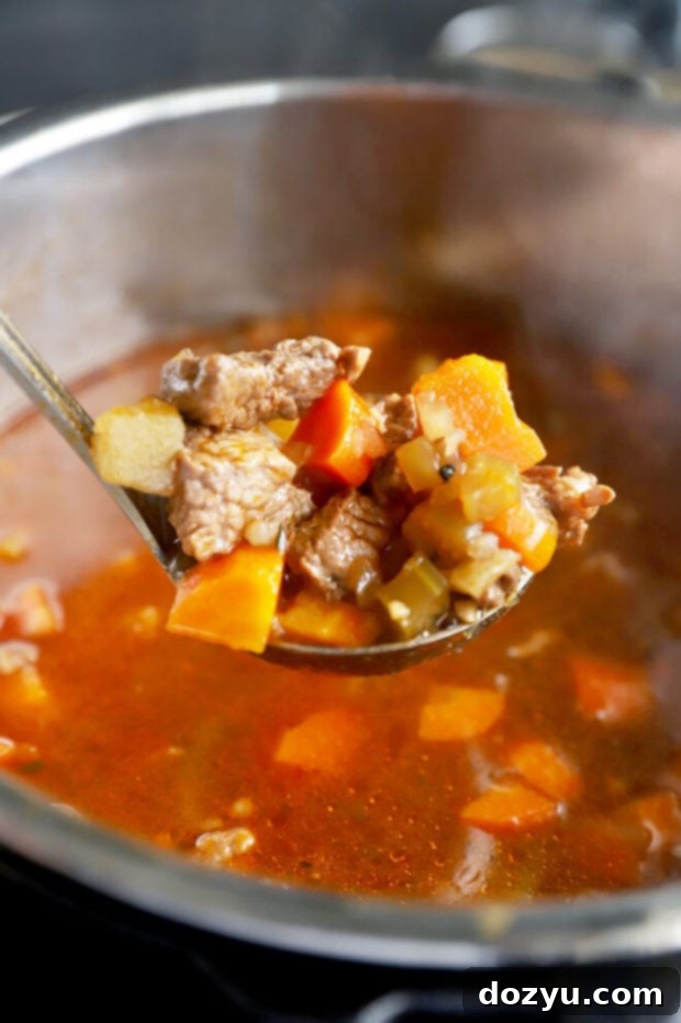Easy Instant Pot Irish Beef Stew 7 Instant Pot stew in ladle photo
