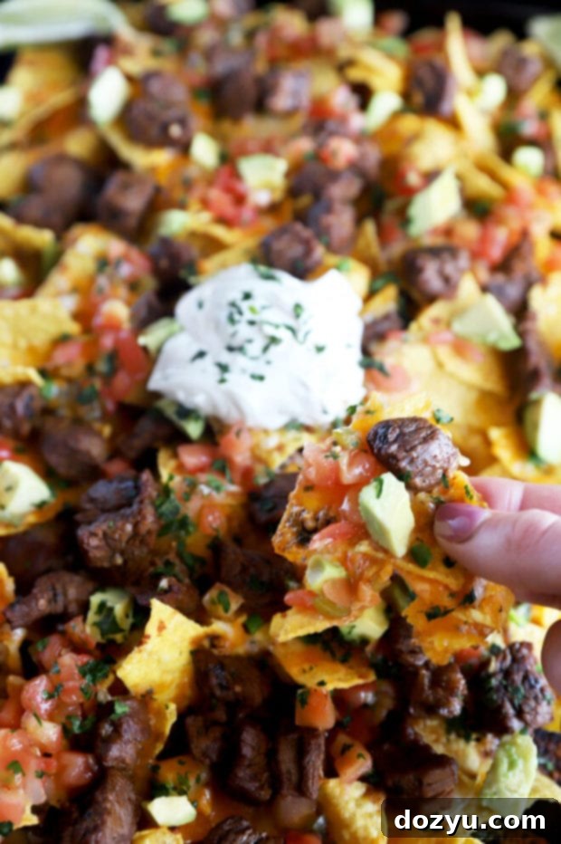 Ultimate Carne Asada Nachos 5 Hand holding carne asada nachos photo
