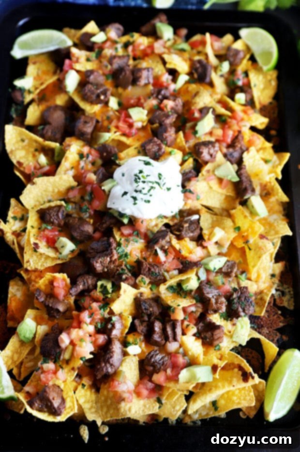 Ultimate Carne Asada Nachos 6 Overhead photo of steak nachos
