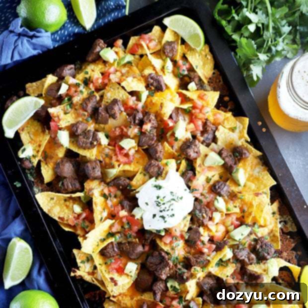 Ultimate Carne Asada Nachos 10 Thumbnail image of carne asada nachos