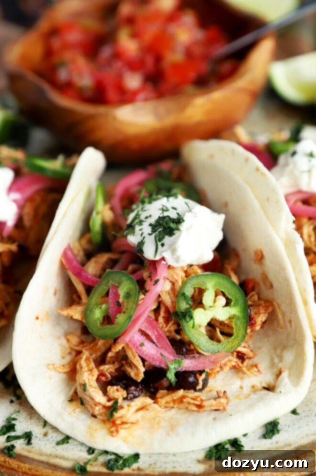 Speedy Instant Pot Chipotle Chicken Tacos 4 Close-up of a perfectly assembled chipotle chicken taco ready to eat