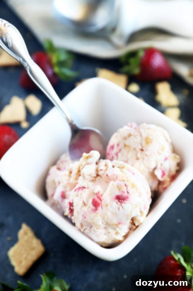 Velvet Strawberry Cheesecake Chill 5 Close-up of a bowl of Strawberry Cheesecake Ice Cream, showing its creamy texture, vibrant strawberry pieces, and graham cracker chunks.